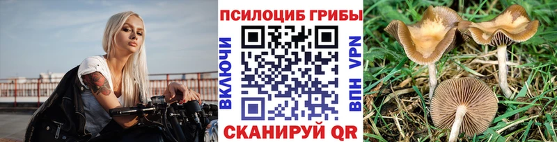 где можно купить   Закаменск  Галлюциногенные грибы MAGIC MUSHROOMS 